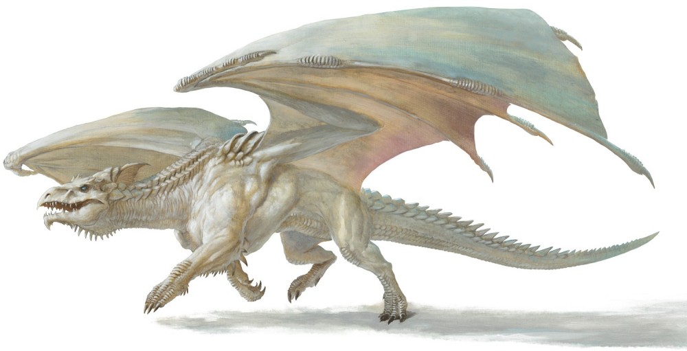 Dragon blanc jeune